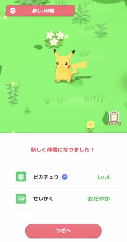 Pkemon sleep ピカチュウ