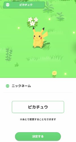 Pkemon sleep ピカチュウ２